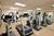 Wingate by Wyndham Atlanta Buckhead from Expedia