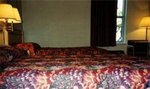 Tn-185353_room_01_e