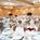 Marriott Minneapolis West - St Louis Park::Expedia