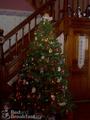A Peaceful Haven Bed & Breakfast