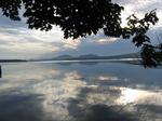 Birches Resort
