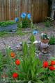 Planet Anchorage Bed and Breakfast