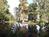 Magnolia Plantatioin & Gardens from Yahoo! Travel
