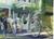 The BEALL MANSION::BedAndBreakfast.com