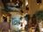 Wakulla Suites from Orbitz