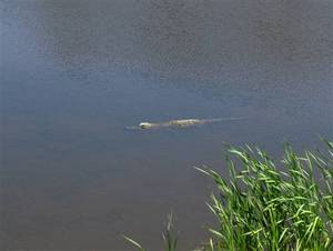 Web-the_sanctuary_at_kiawah_island_10020_1_05312007_1405126406_500