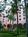 Royal Hawaiian Hotel::ZoomAndGo