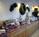 Hampton Inn San Angelo::Yahoo! Travel