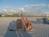 Residence Inn Treasure Island::TripAdvisor