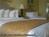 Holiday Inn Sunspree Resort Fort Walton Beach::Priceline.com