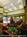 Holiday Inn Express Suites South Port::Travelocity.com