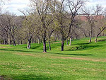 Elmwood Park