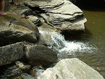 Tn-562115190_27869931b7_m