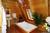 B & B AND BUNGALOW AT PONDER COVE, ASHEVILLE AREAS PRIVATE GETAWAY FOR POOCHES AND THEIR PEOPLE::PetFriendly.com