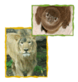 Tautphaus Park Zoo