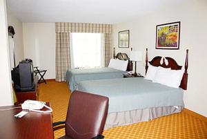 Web-msy_wina-rooms-1
