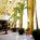 Renaissance Marriott Fort Lauderdale Plantation::Orbitz