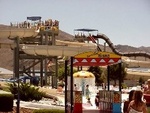 Wild Island