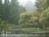 Brookside Inn::BedAndBreakfast.com