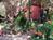 The Sedona Dream Maker Bed & Breakfast::BedAndBreakfast.com