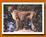 Roger Williams Park Zoo::Rwpzoo