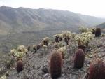 South Mountain Park Scenic Drive::Phoenix.gov