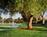 Lake San Marcos Resort from Orbitz