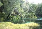 Rainbow Springs State Park