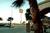Best Western Las Palmas Inn::Orbitz