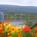 Beluga Lake Lodge Homer::ProfessionalTravelGuide.com