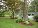 Shady Nook Inn