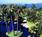 Paradise Point Resort and Spa from Orbitz