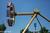 HersheyPark::ThrillNetwork.com