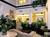 Comfort Suites Goodlettsville::Orbitz