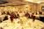 Ramada Convention Center::Orbitz
