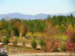 Green River Vineyard and Bed & Breakfast