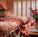 Candy Cane Inn::ProfessionalTravelGuide.com