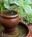 Adobe on Green Street::BedAndBreakfast.com
