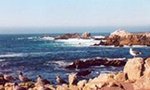 Tn-018228_ext_04_e
