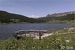 Medicine Bow/ Routt National Forest