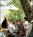 Julia's Kitchen::CitySearch