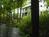 Riverbend Inn B&B::TripAdvisor