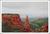 Colorado National Monument::Birdpepperstudioarts.com