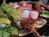 Crowne Plaza Foster City::Orbitz