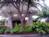 SpringHill Suites by Marriott Houston Medical Center Reliant Park::Yahoo! Travel