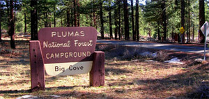 Web-bigcove-picture