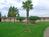 Best Western Golden Pheasant Inn::Hotels.com
