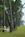 Daufuskie Island Club::Travelocity.com