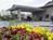 Peppertree Inn::Priceline.com