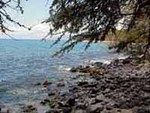 Wahikuli Beach Park